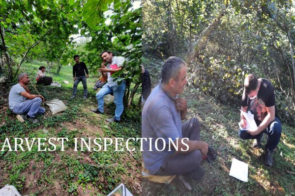 Harvest Inspections